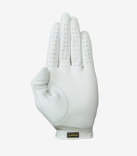 Load image into Gallery viewer, Asher Premium Utility Mens golf Glove Stinger
