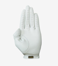 Load image into Gallery viewer, Asher Premium Utility Mens golf Glove Stinger
